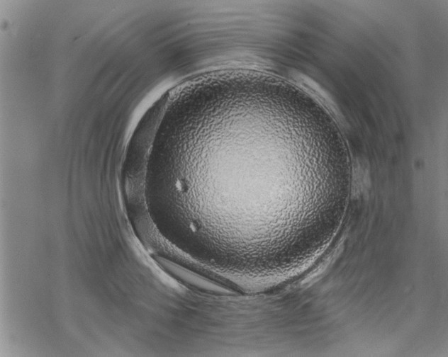 X0000068840812200605051300