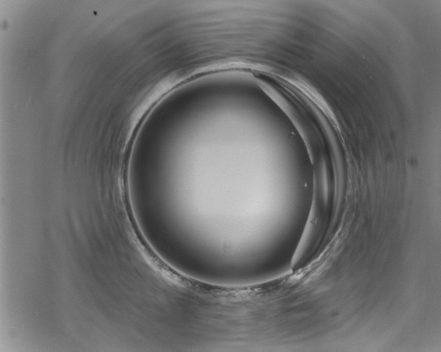 X0000068840813200605051300