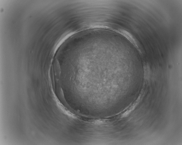 X0000068840814200605051300