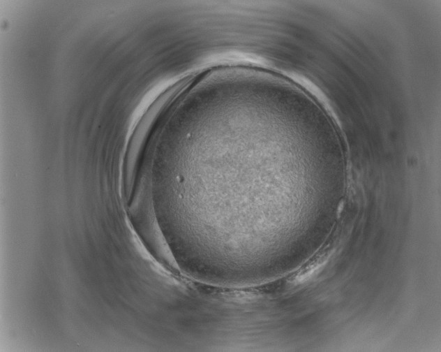 X0000068840815200605051300