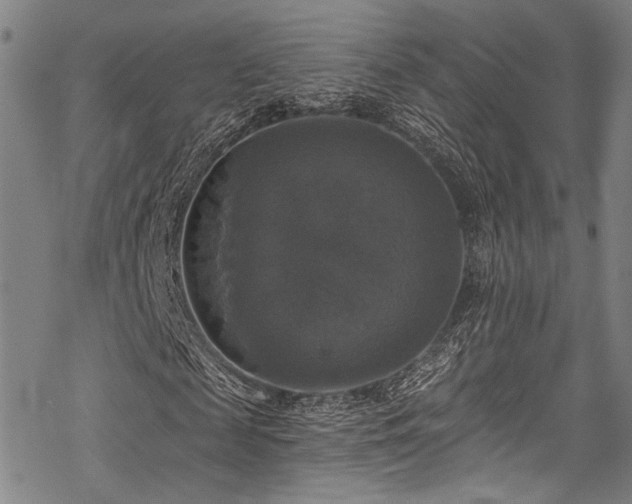 X0000068840817200605051259