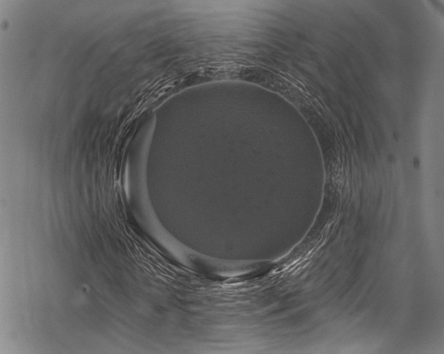 X0000068840818200605051259