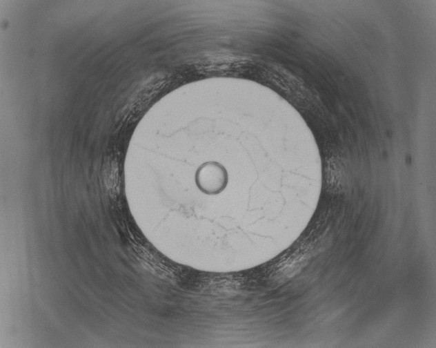 X0000068840820200605051259