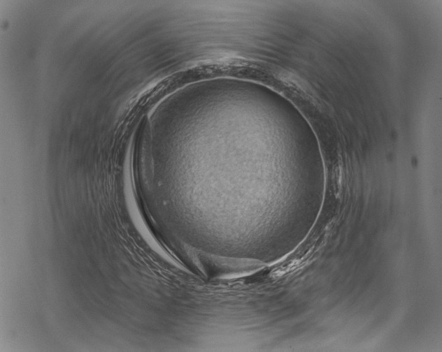 X0000068840822200605051259