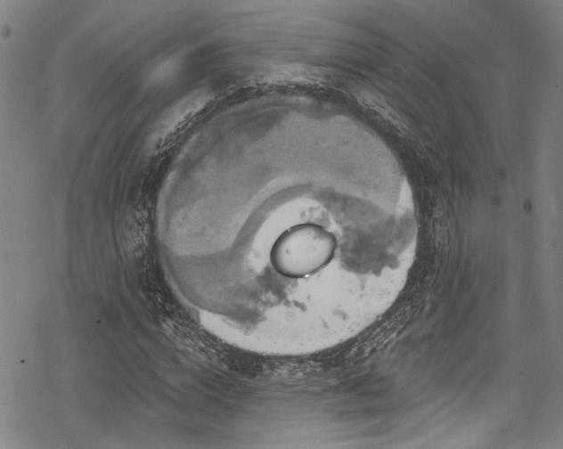 X0000068840824200605051259