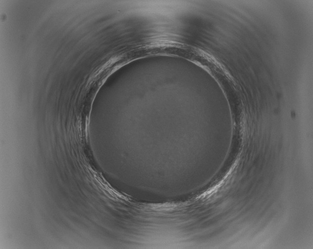 X0000068840825200605051259