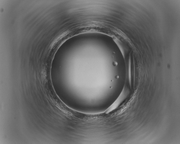 X0000068840826200605051259