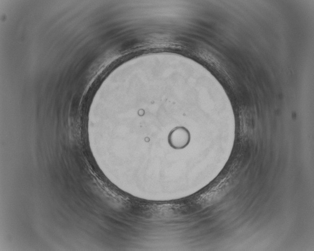 X0000068840828200605051259