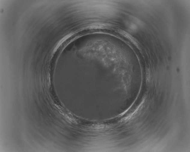 X0000068840829200605051259