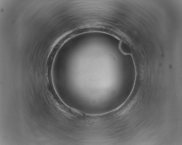 X0000068840830200605051259