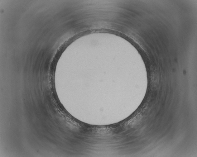 X0000068840832200605051259