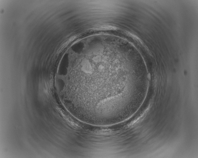 X0000068840833200605051259