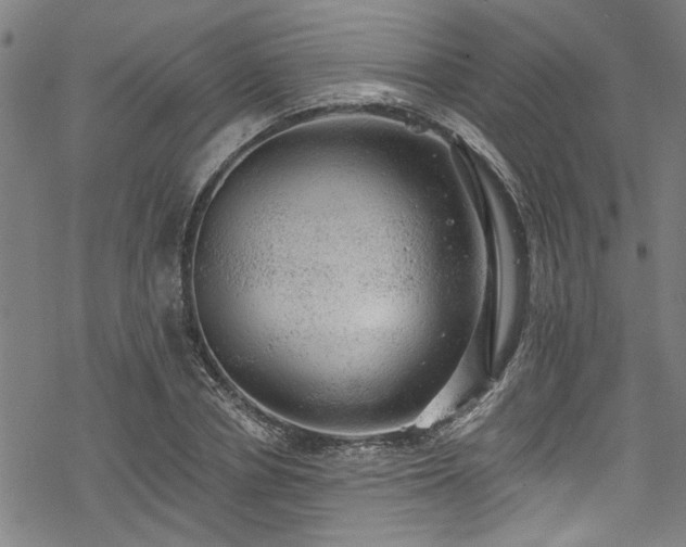 X0000068840834200605051259