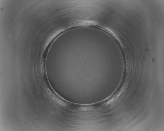 X0000068840835200605051259