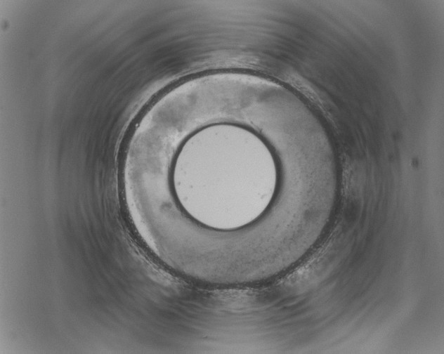 X0000068840836200605051259