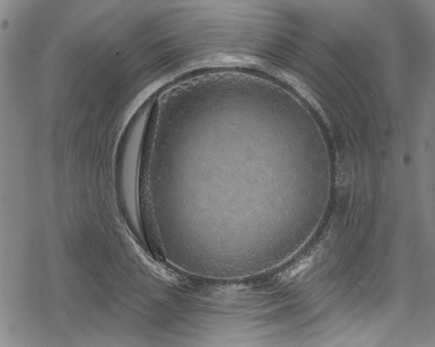 X0000068840837200605051259