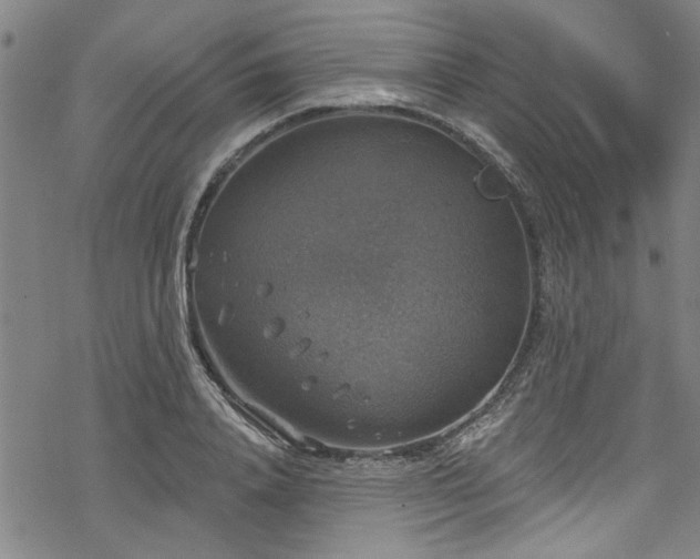 X0000068840840200605051300