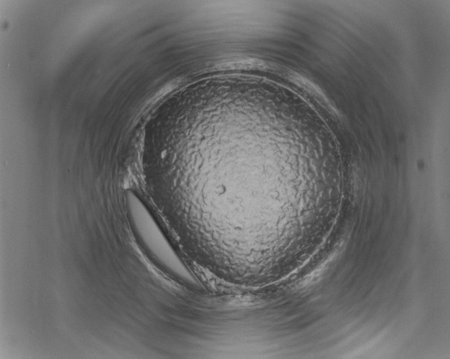 X0000068840841200605051300