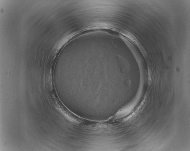 X0000068840842200605051300