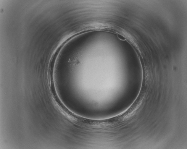 X0000068840843200605051300