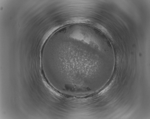 X0000068840844200605051300