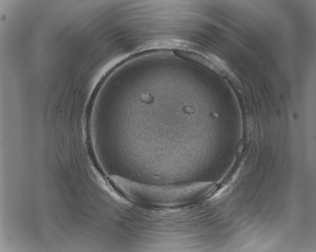 X0000068840846200605051300