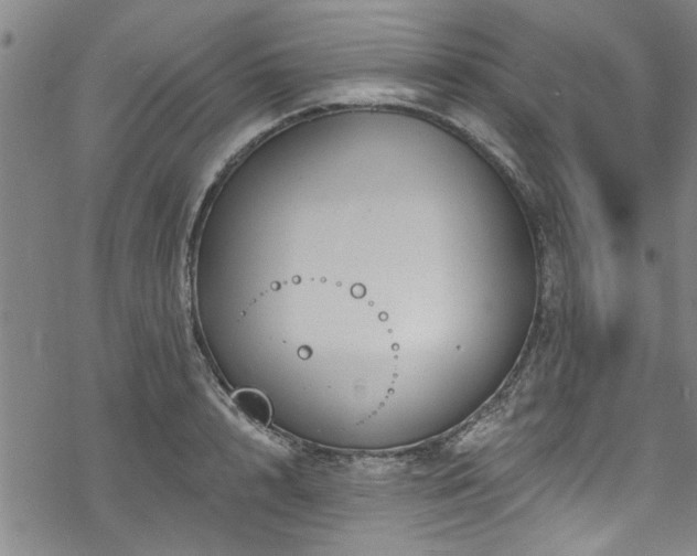 X0000068840848200605051300