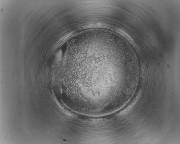 X0000068840849200605051300