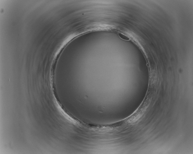 X0000068840851200605051300