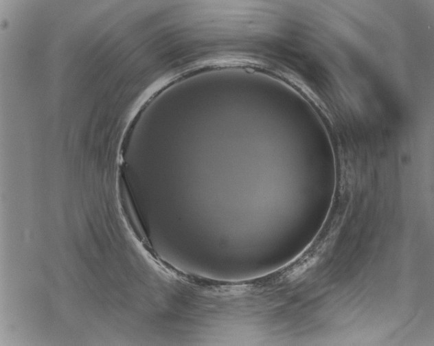 X0000068840853200605051300