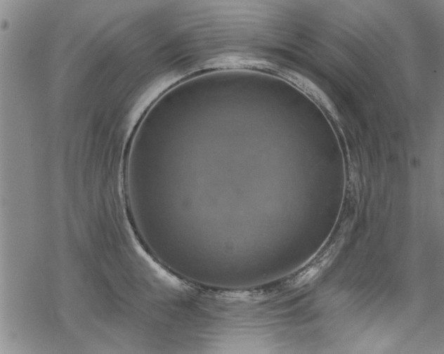 X0000068840855200605051300