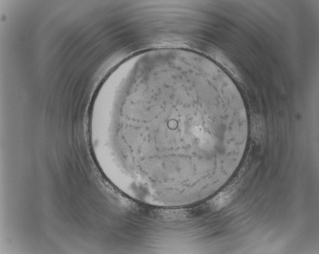 X0000068840856200605051300