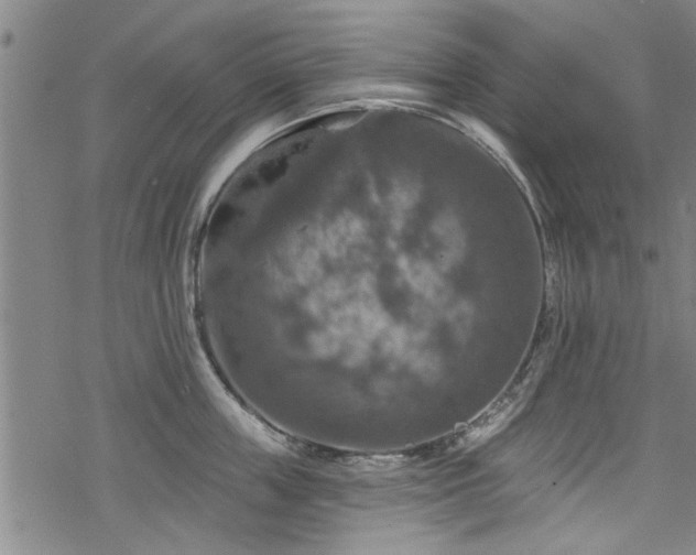 X0000068840859200605051300