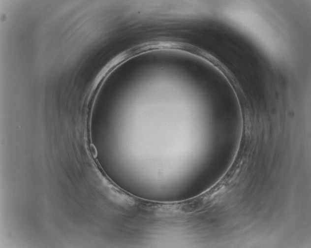 X0000068840861200605051300