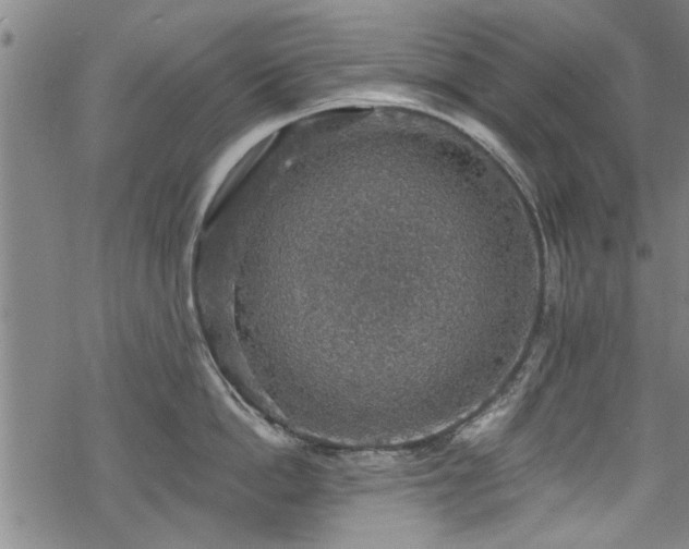 X0000068840862200605051300