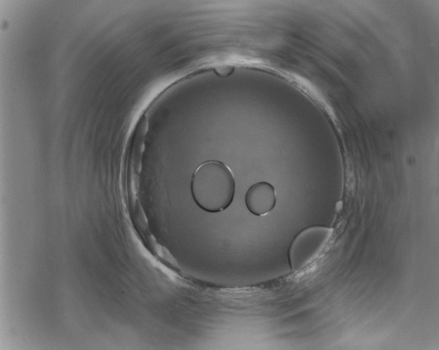 X0000068840863200605051300