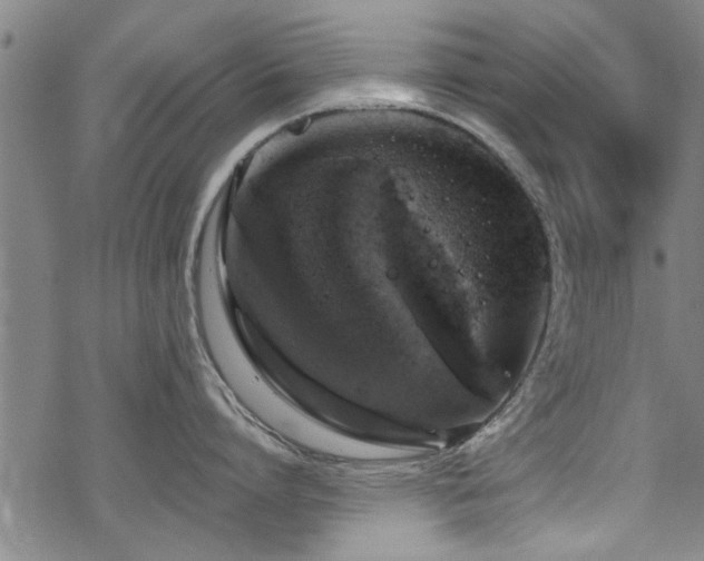 X0000068840864200605051300