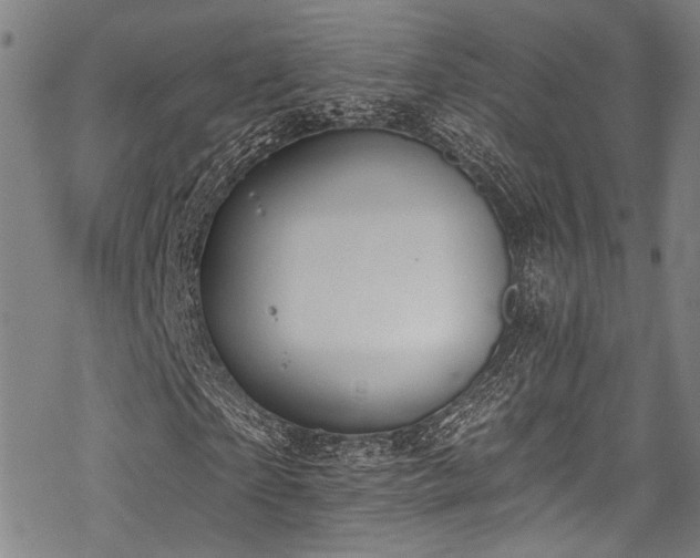 X0000068840865200605051259