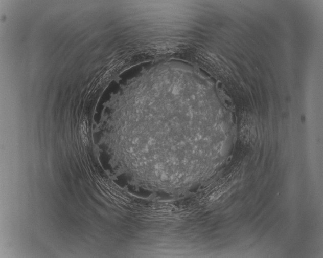 X0000068840866200605051259