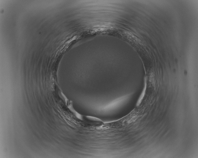 X0000068840868200605051259