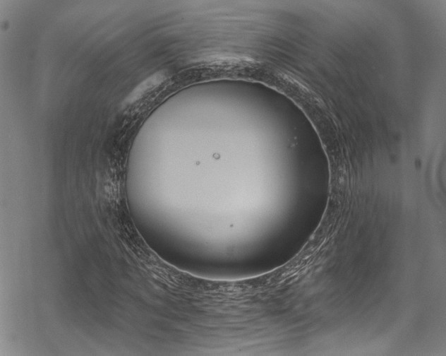 X0000068840869200605051259