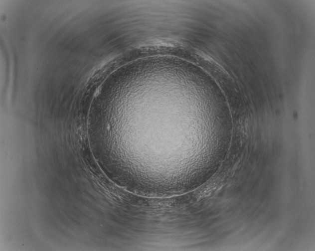 X0000068840870200605051259