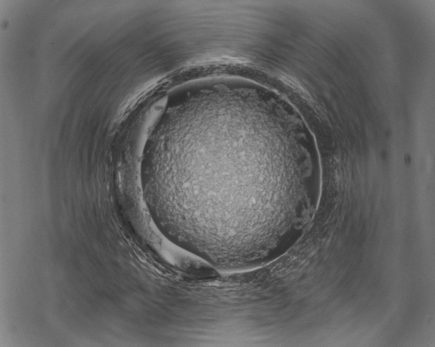 X0000068840872200605051259