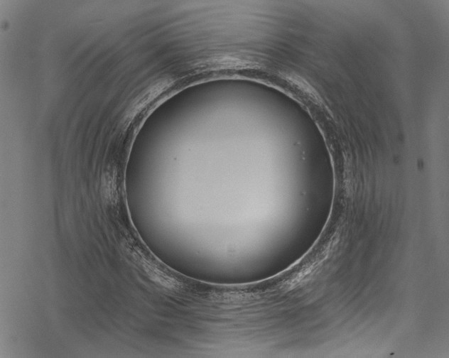 X0000068840873200605051259