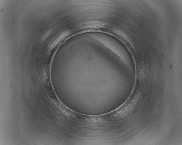 X0000068840874200605051259