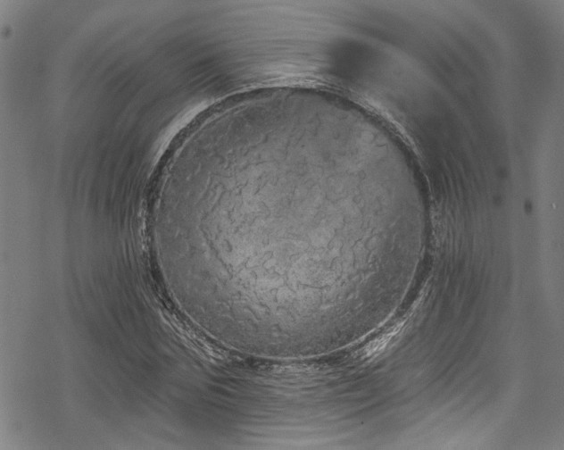 X0000068840875200605051259