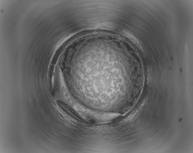 X0000068840876200605051259