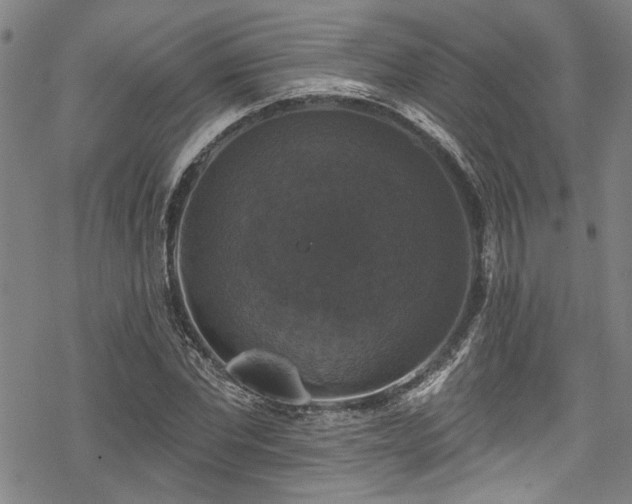 X0000068840877200605051259