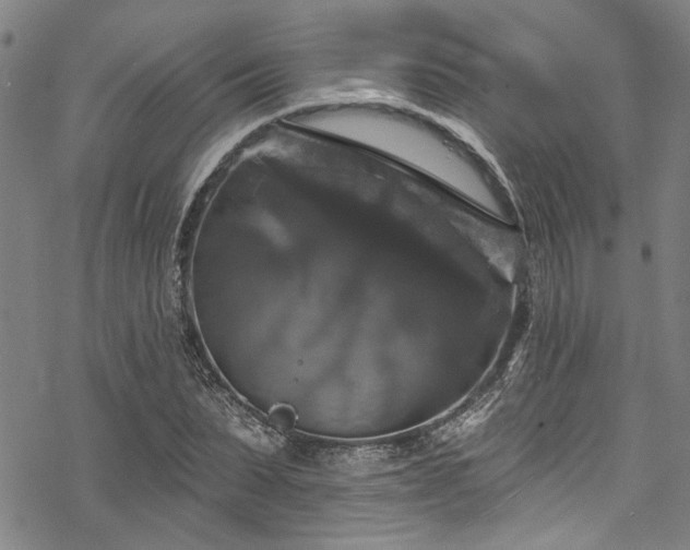 X0000068840879200605051259