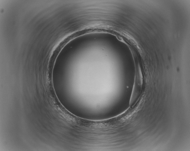 X0000068840880200605051259